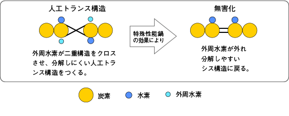 Illustration how artificial trans fatty acids return to their original cis structure